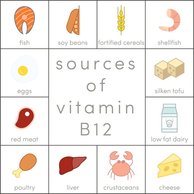 Source of Vitamin B12, Image Credit: marina_ua / Shutterstock